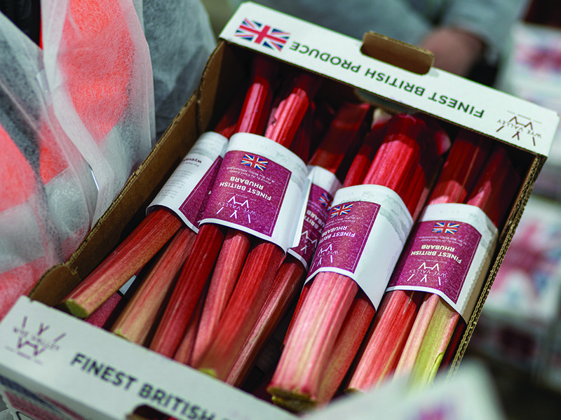 Asparagus tips emerging from the soil │  Look out for Wye Valley rhubarb at Spinneys  │ The official start date for growing asparagus is 23 April │ Chris Chinn also grows blueberries at Cobrey Farms