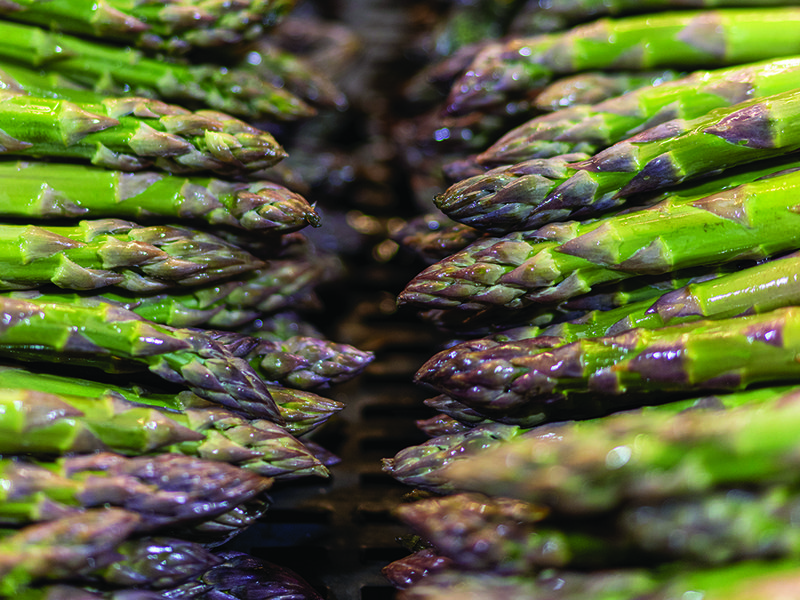 Freshly harvested asparagus, washed and ready for packing │ Wye Valley asparagus is available at Spinneys for a limited period │ Chris Chinn in the asparagus greenhouse │ the terroir of the Wye Valley makes it excellent for growing asparagus