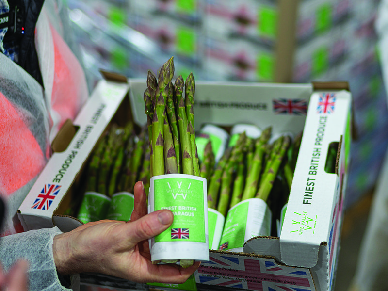 Freshly harvested asparagus, washed and ready for packing │ Wye Valley asparagus is available at Spinneys for a limited period │ Chris Chinn in the asparagus greenhouse │ the terroir of the Wye Valley makes it excellent for growing asparagus