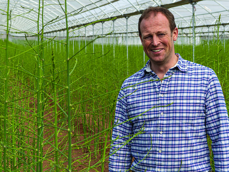 Freshly harvested asparagus, washed and ready for packing │ Wye Valley asparagus is available at Spinneys for a limited period │ Chris Chinn in the asparagus greenhouse │ the terroir of the Wye Valley makes it excellent for growing asparagus