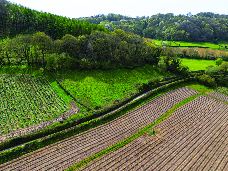 Freshly harvested asparagus, washed and ready for packing │ Wye Valley asparagus is available at Spinneys for a limited period │ Chris Chinn in the asparagus greenhouse │ the terroir of the Wye Valley makes it excellent for growing asparagus