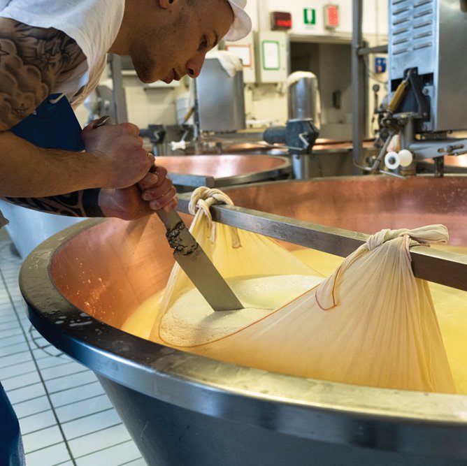 Parmigiano Reggiano is manually cut into two halves