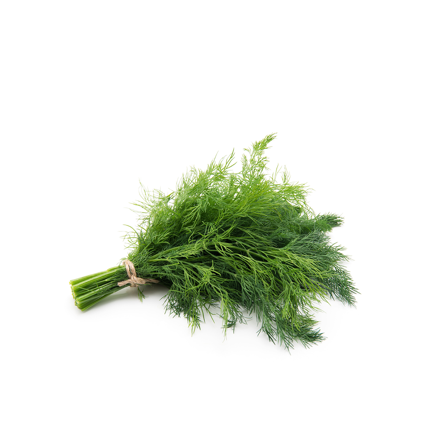 Dill Bunch Oman