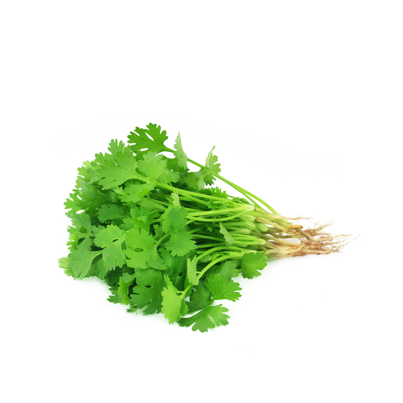 Spinneysfood Coriander Kenya 100g