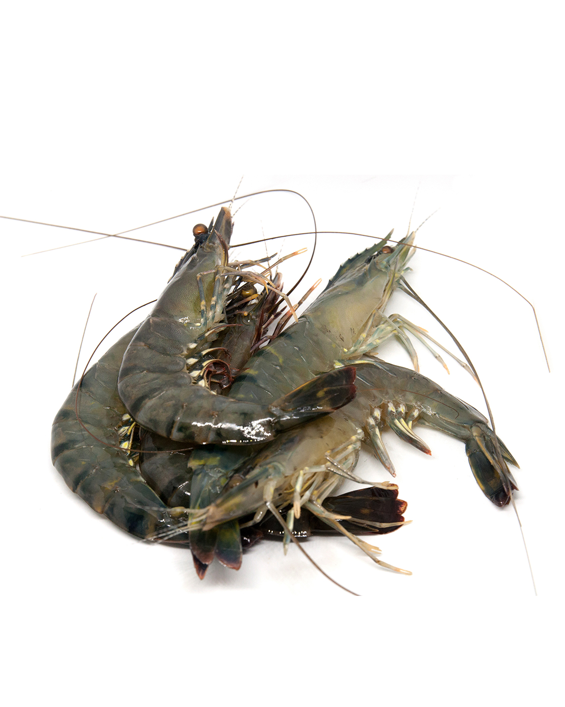Spinneysfood Large Sri Lanka Tiger Prawns