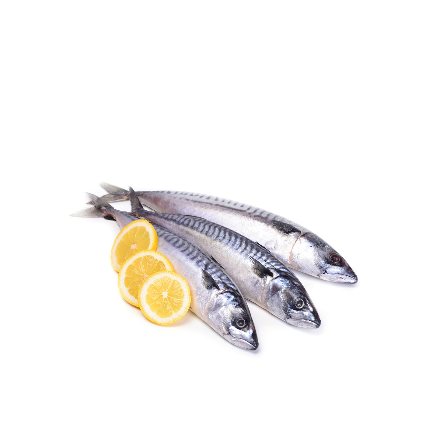 Oman Whole Mackerel