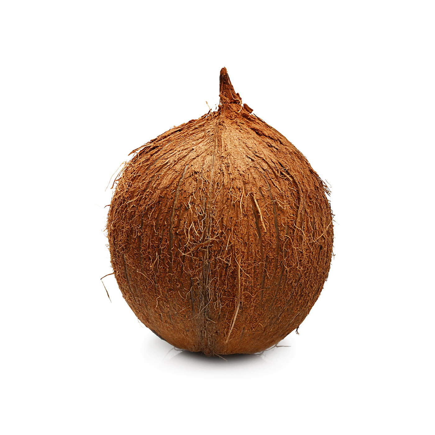 Organic Fresh Coconut
