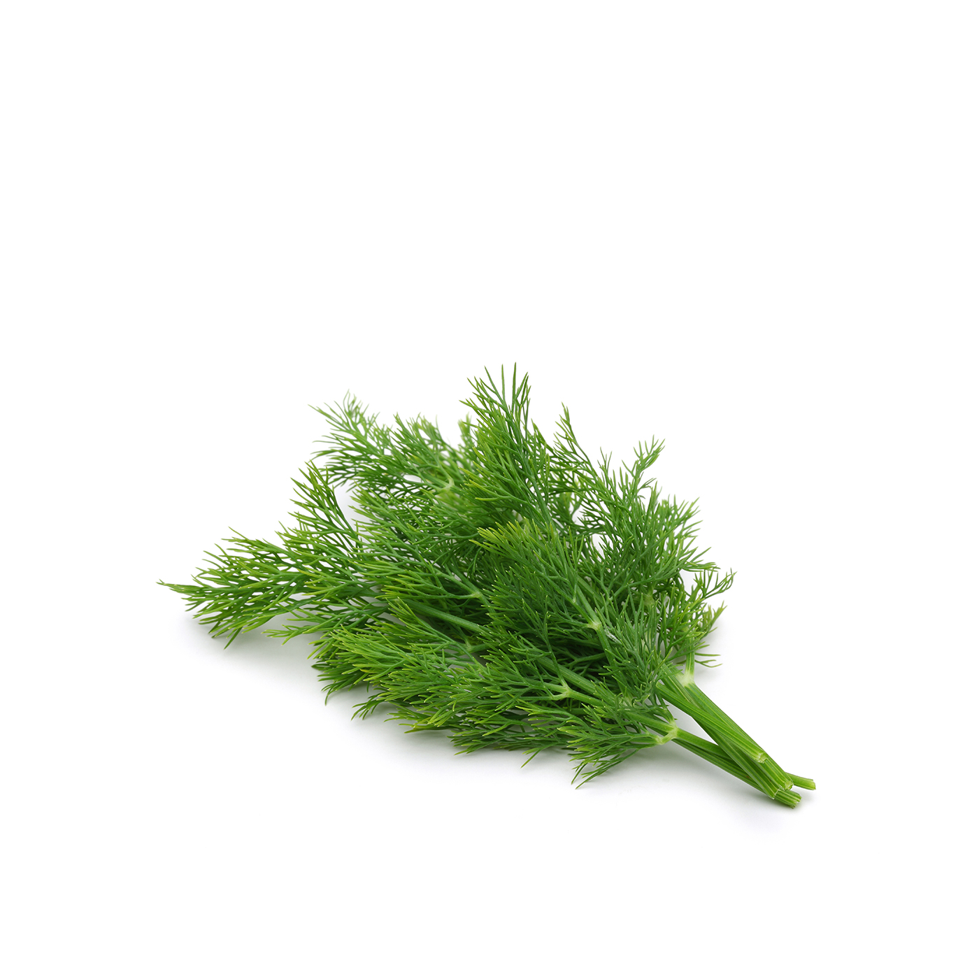 SpinneysFOOD dill Kenya 100g Spinneys UAE