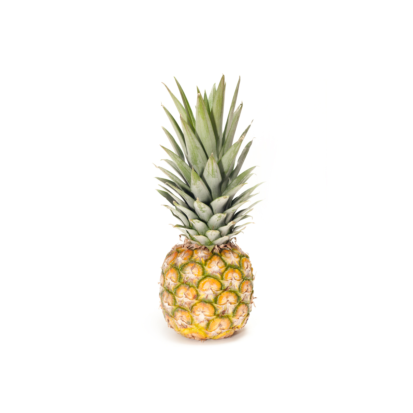 Baby Pineapple South Africa