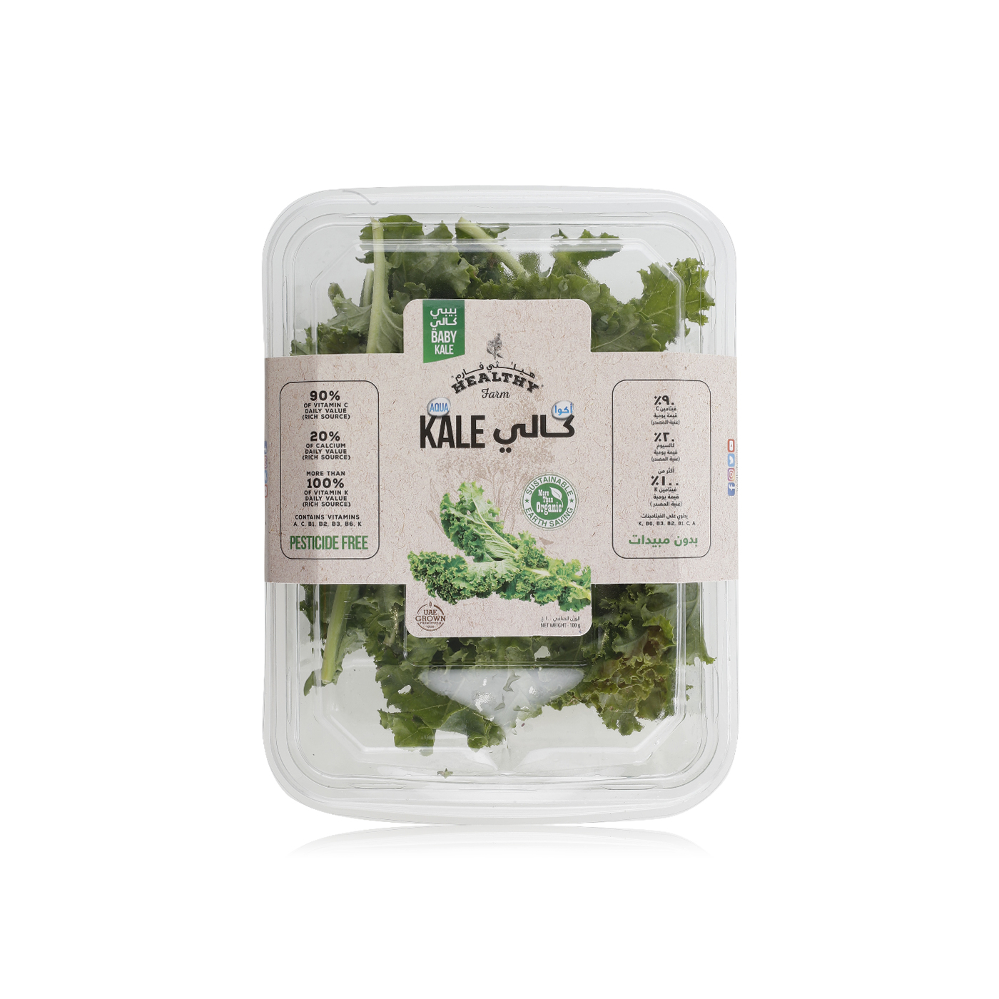 UAE Healthy Farm baby aqua kale 100g Spinneys UAE