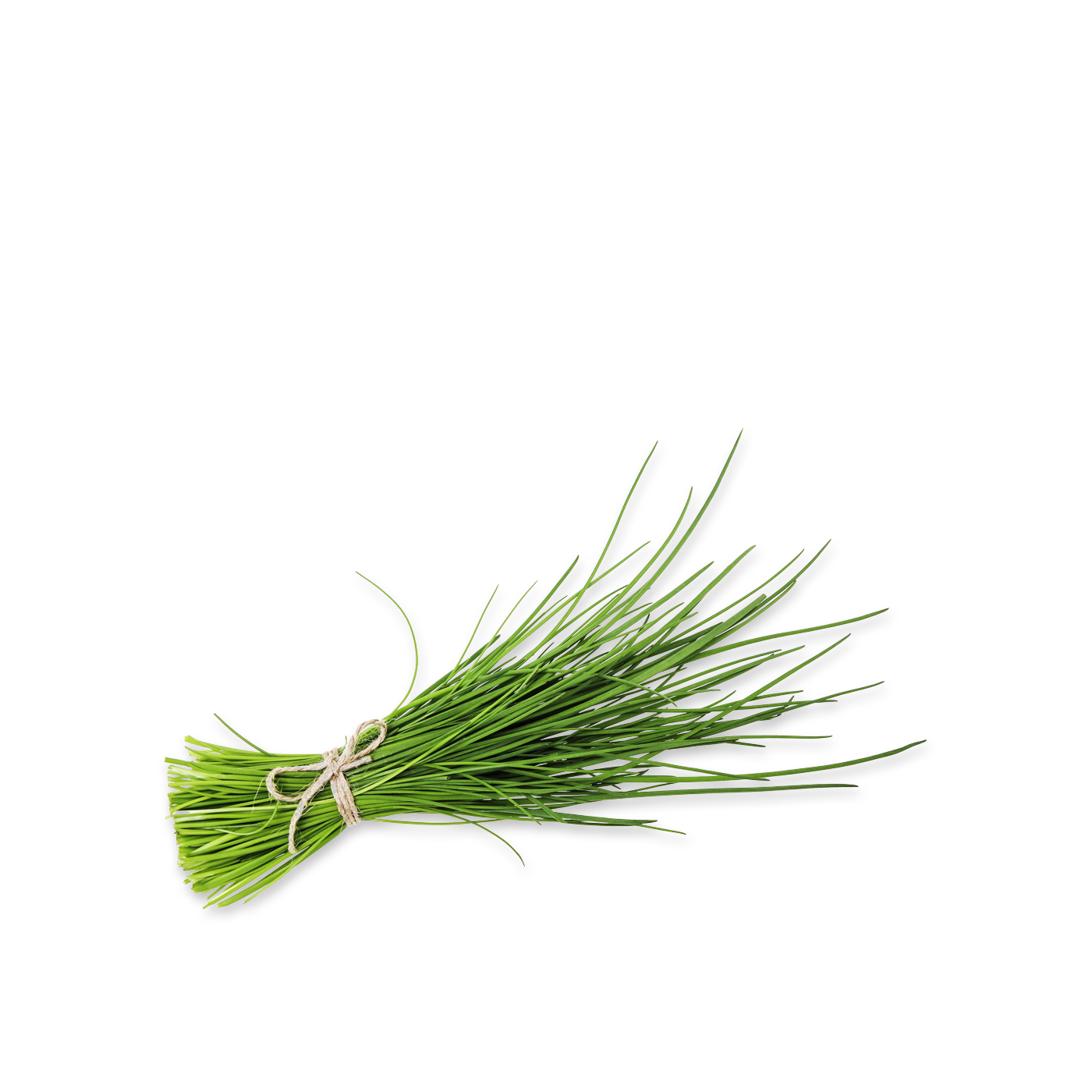 Fresh Chives Bunch 50g