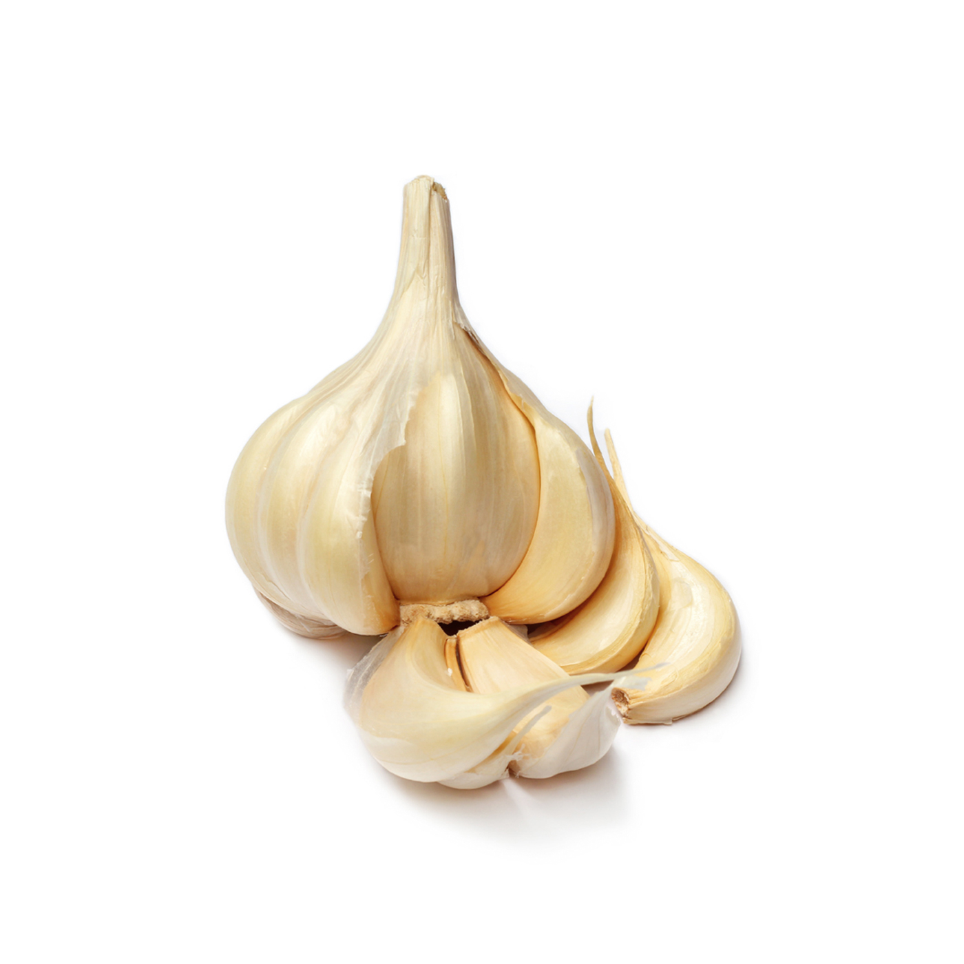 Garlic India