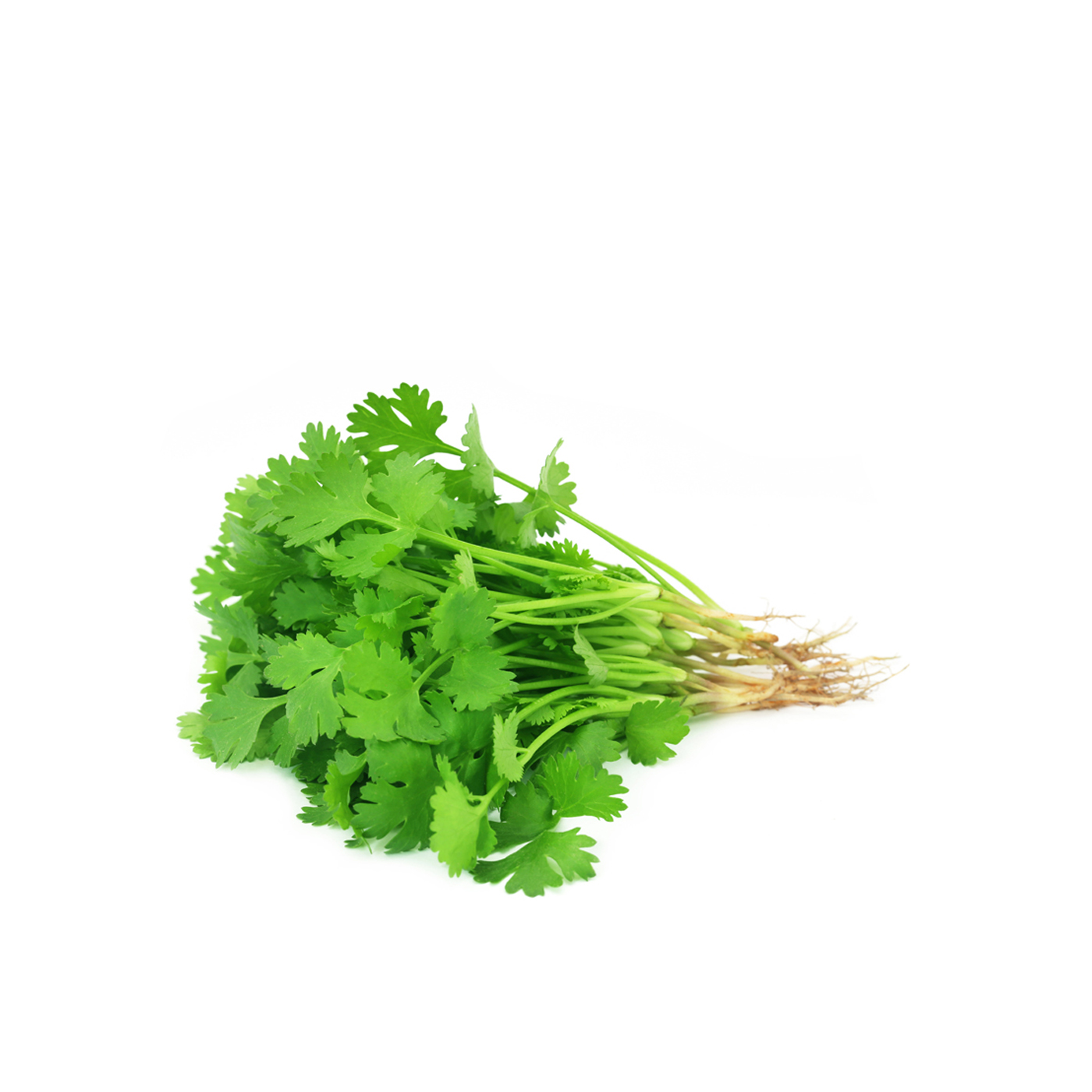 Coriander Saudi 140g