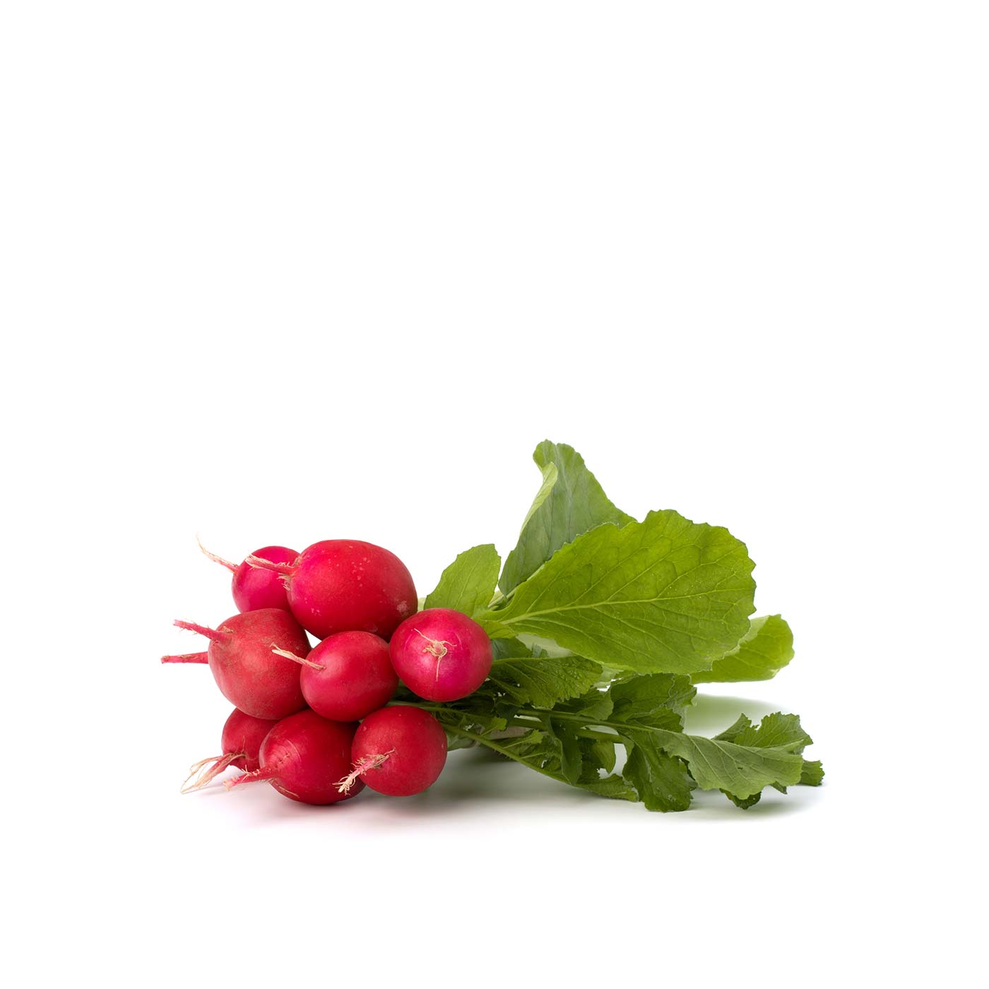 Red Radish Bunch Oman