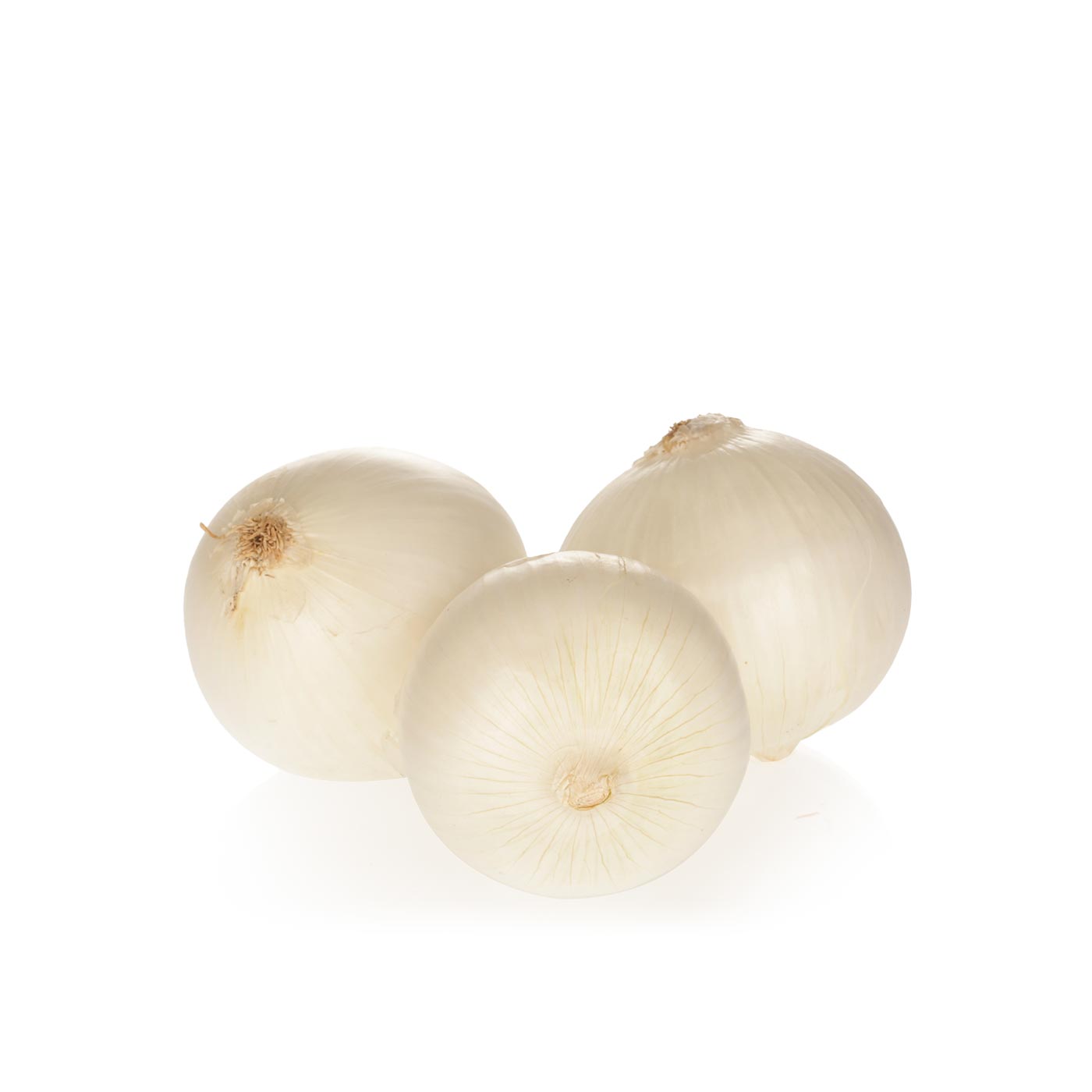 White Onion Spain Kg