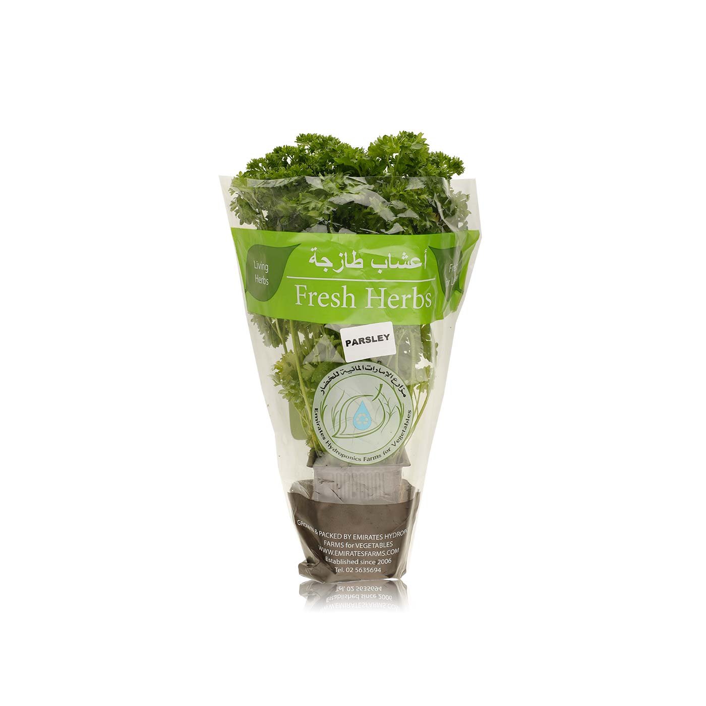 Spinneysfood Locally Grown Parsley Pot