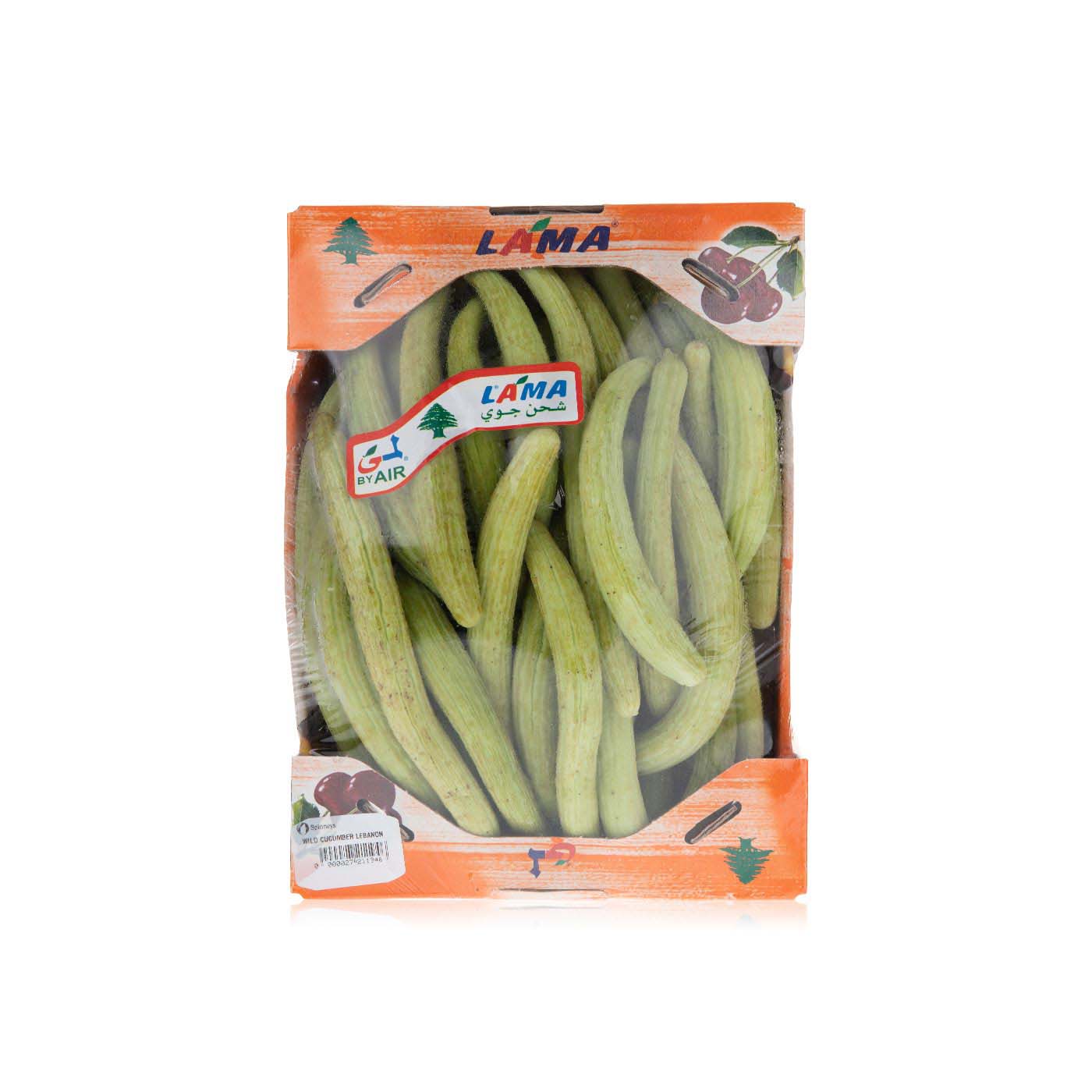 Wild Cucumber Lebanon