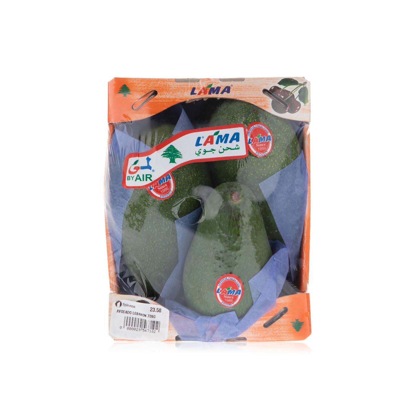 Avocado Lebanon 700g