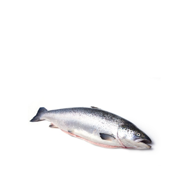 Spinneysfood Whole Organic Irish Salmon