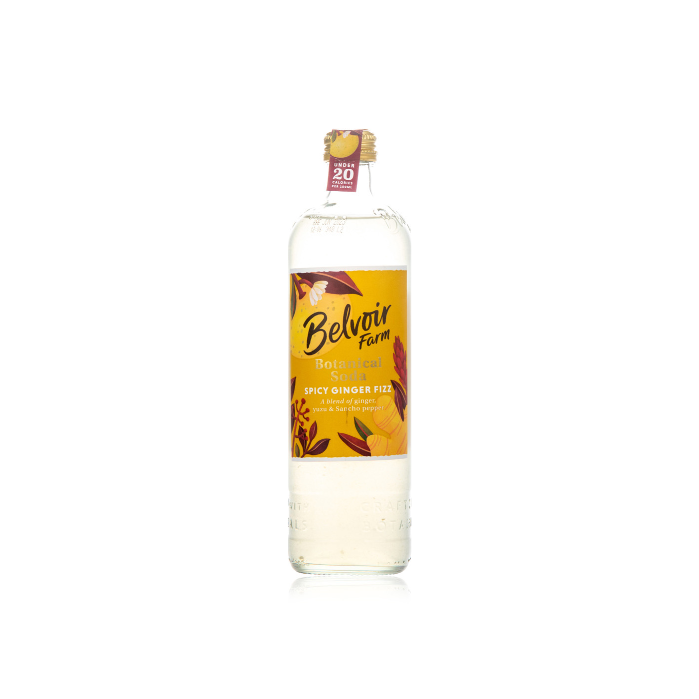 Belvoir Farm Spicy Ginger Fizz Botanical Soda 500ml
