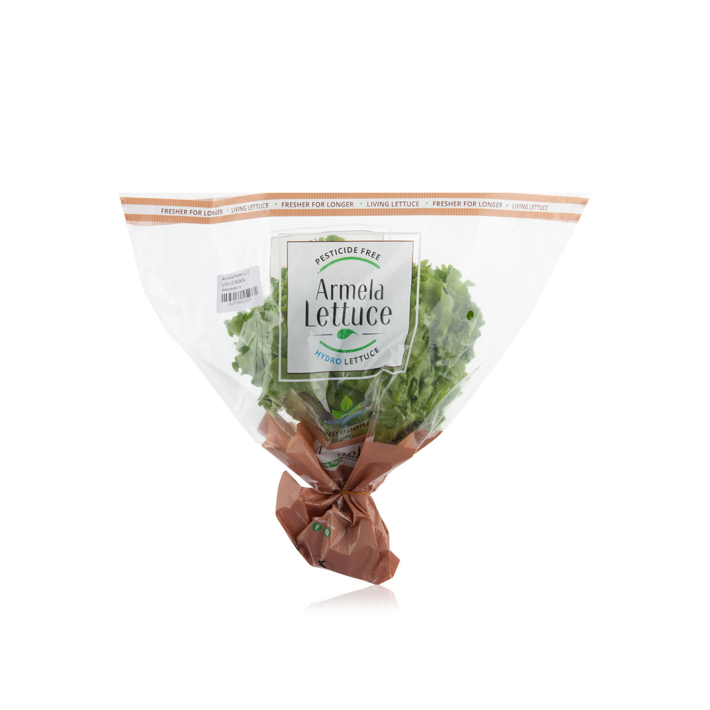 Armela Lollo Biondi Lettuce 1pc