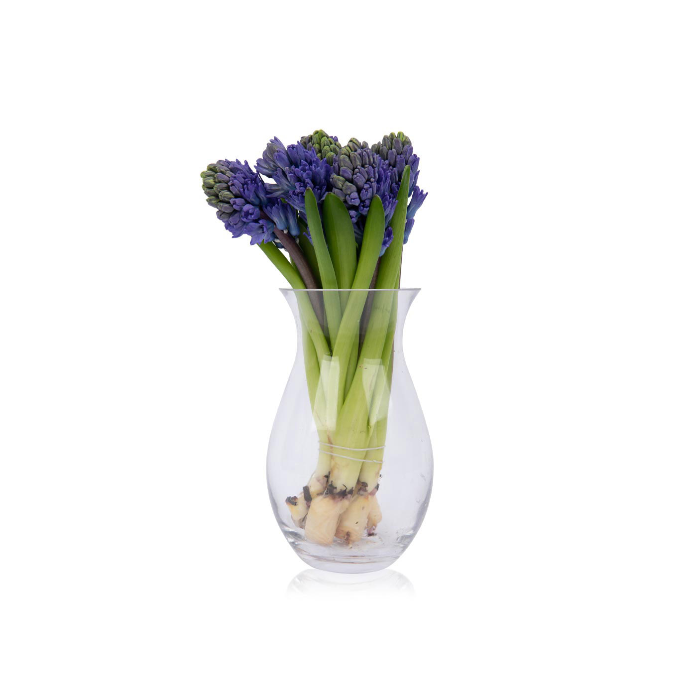 Blue Hyacinth Bouquet