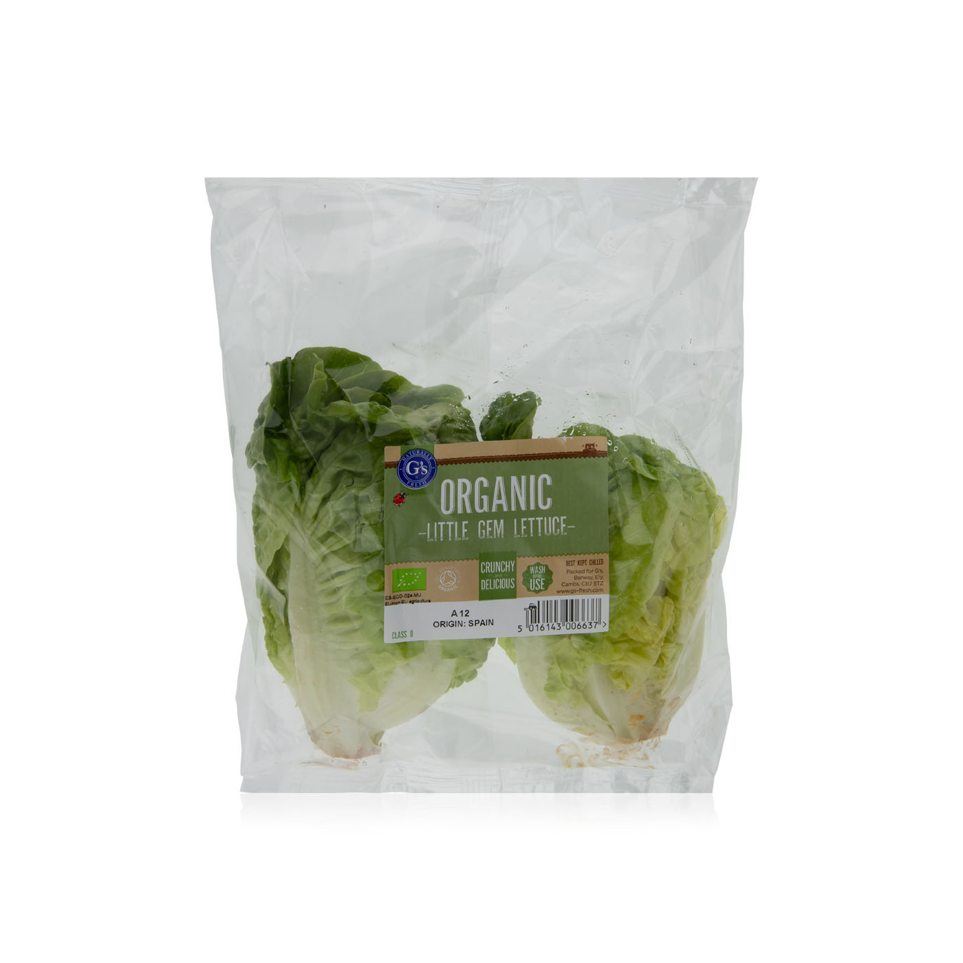 Spinneys Spanish Organic Little Gem Lettuce Twin Pack - Spinneys UAE