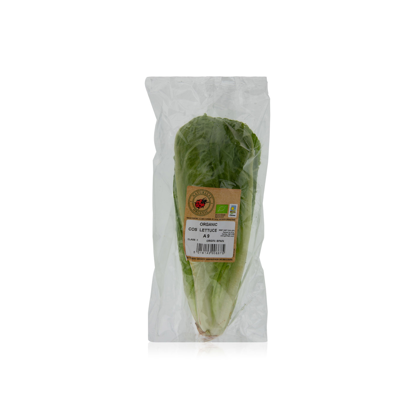 Spinneys Spanish Organic Romaine Lettuce Spinneys UAE