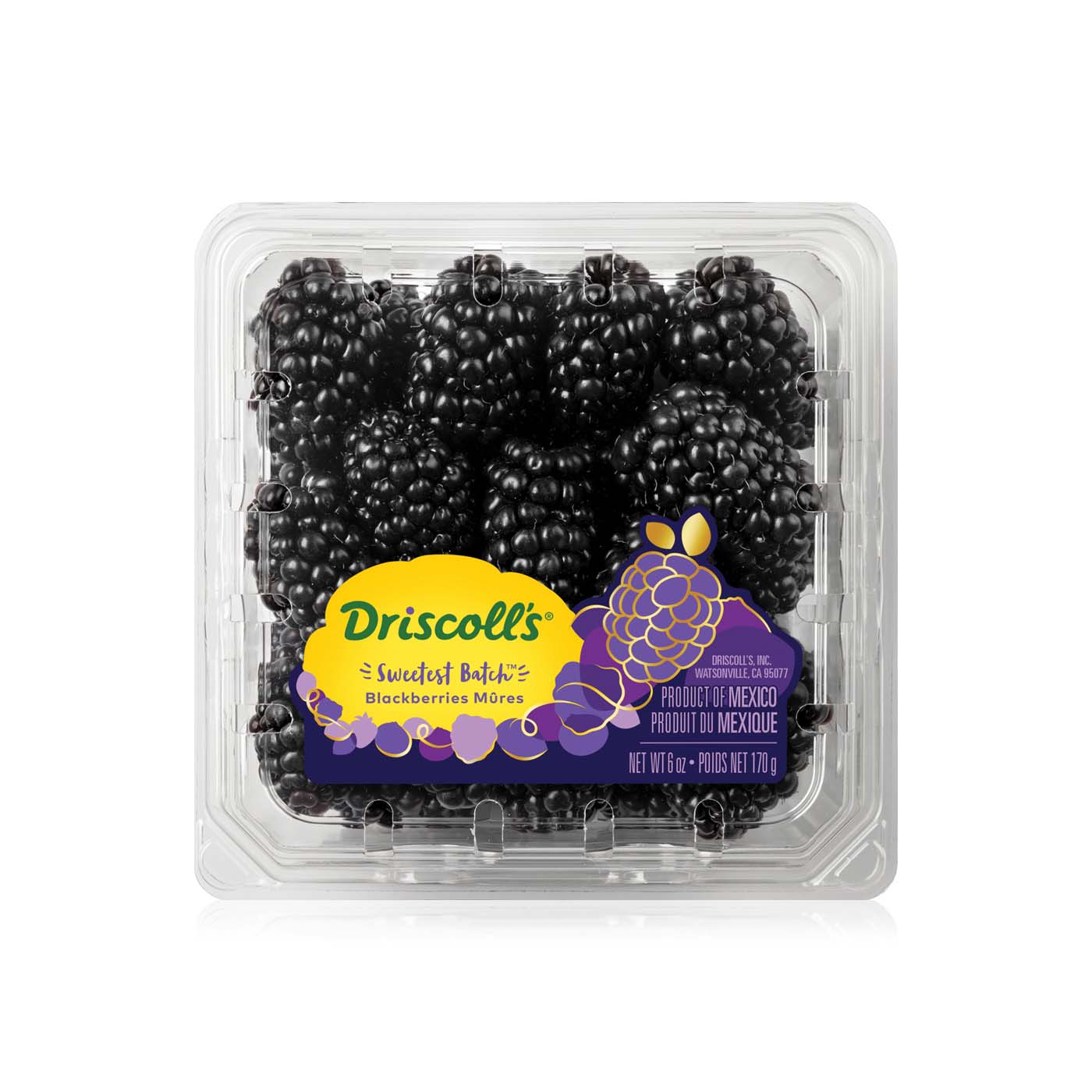 Driscoll's blackberries sweetest batch 170g Spinneys UAE