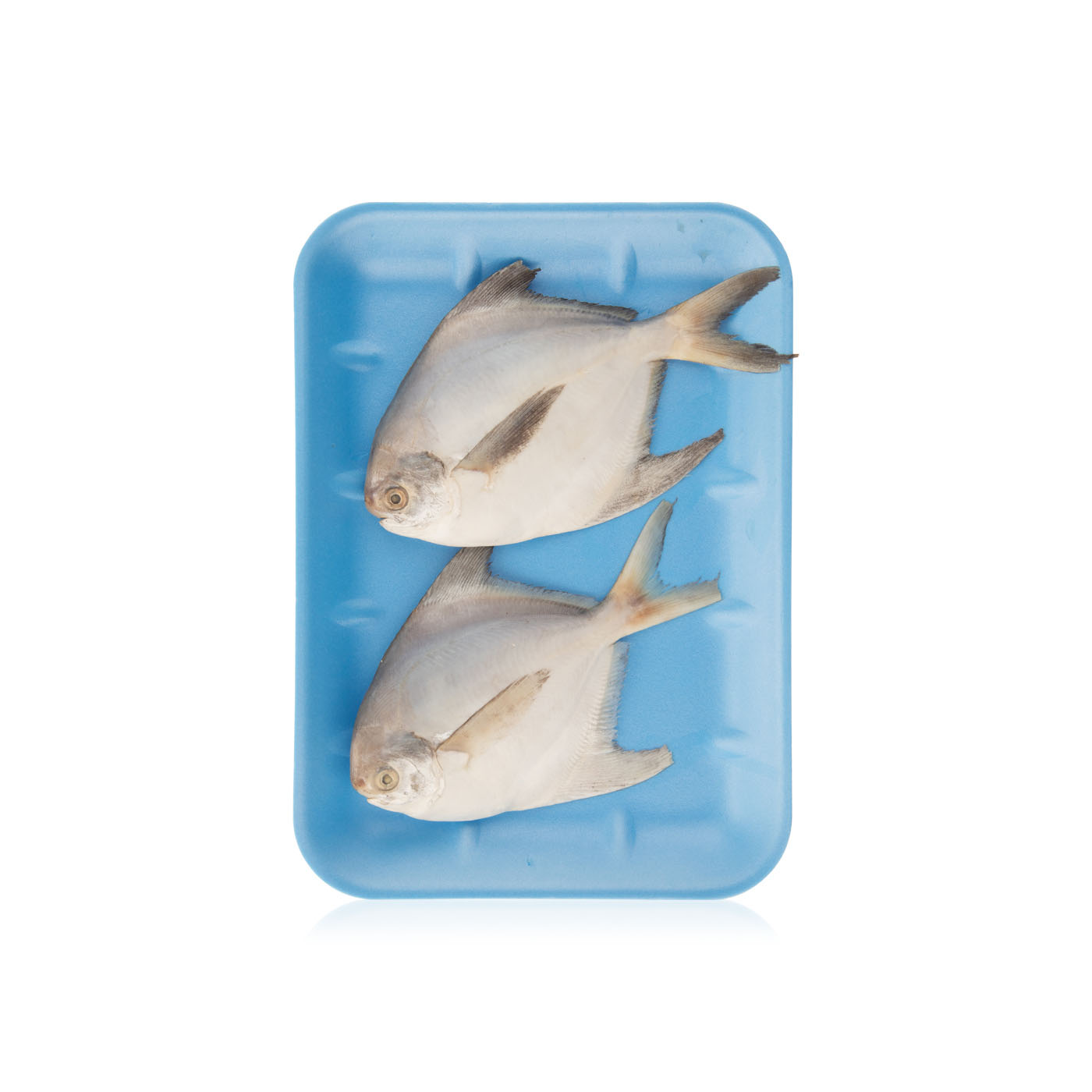 Fresh white pomfret UAE Spinneys UAE