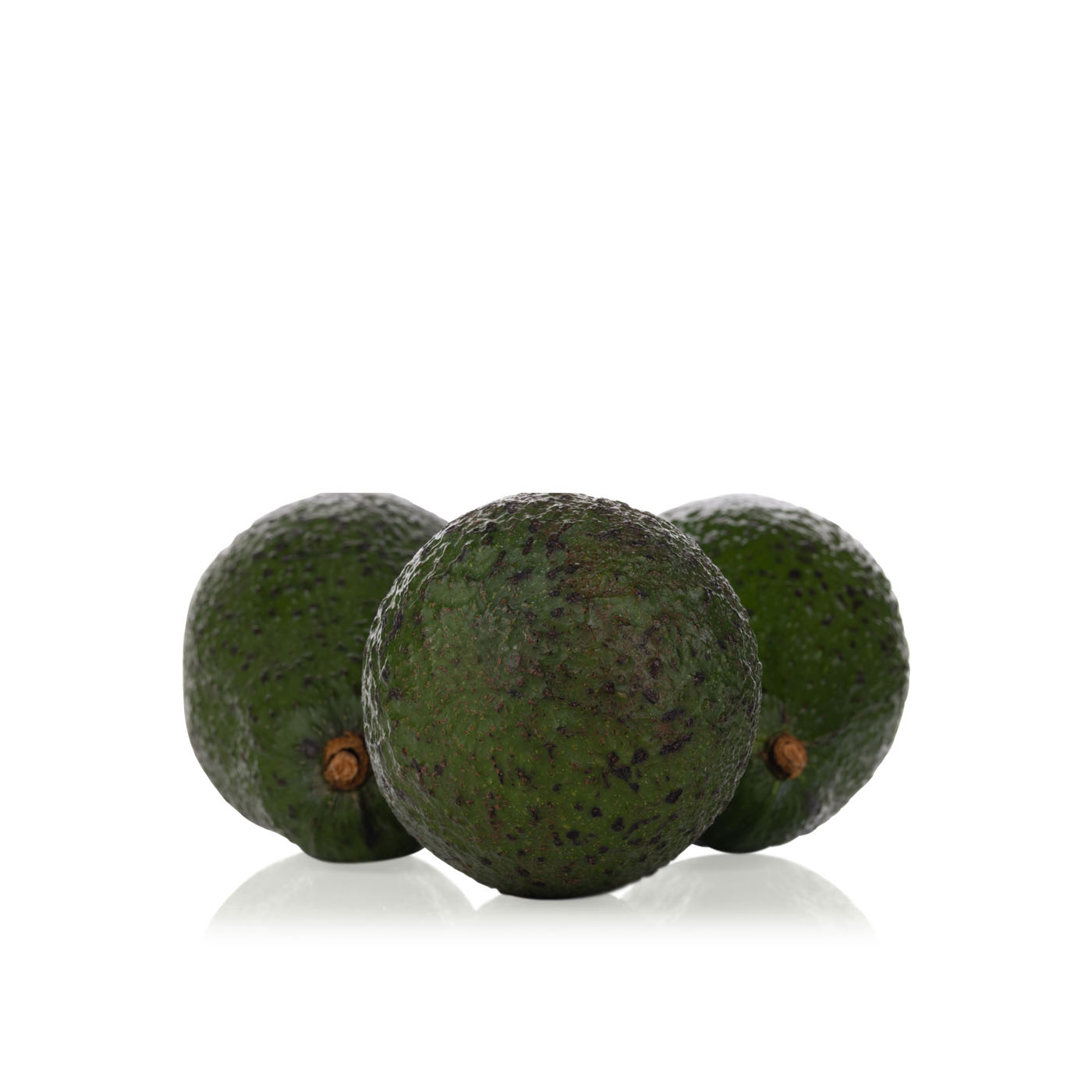 Hass Avocado South Africa