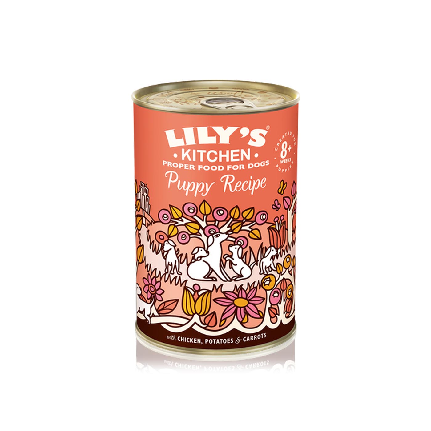 Lily's Kitchen Puppy Wet Dog Food Chicken 400g