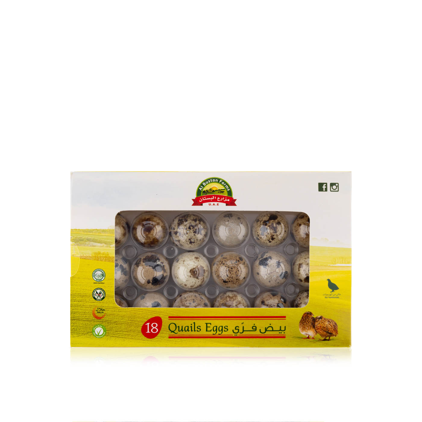 Al Bustan Quail Eggs x 18
