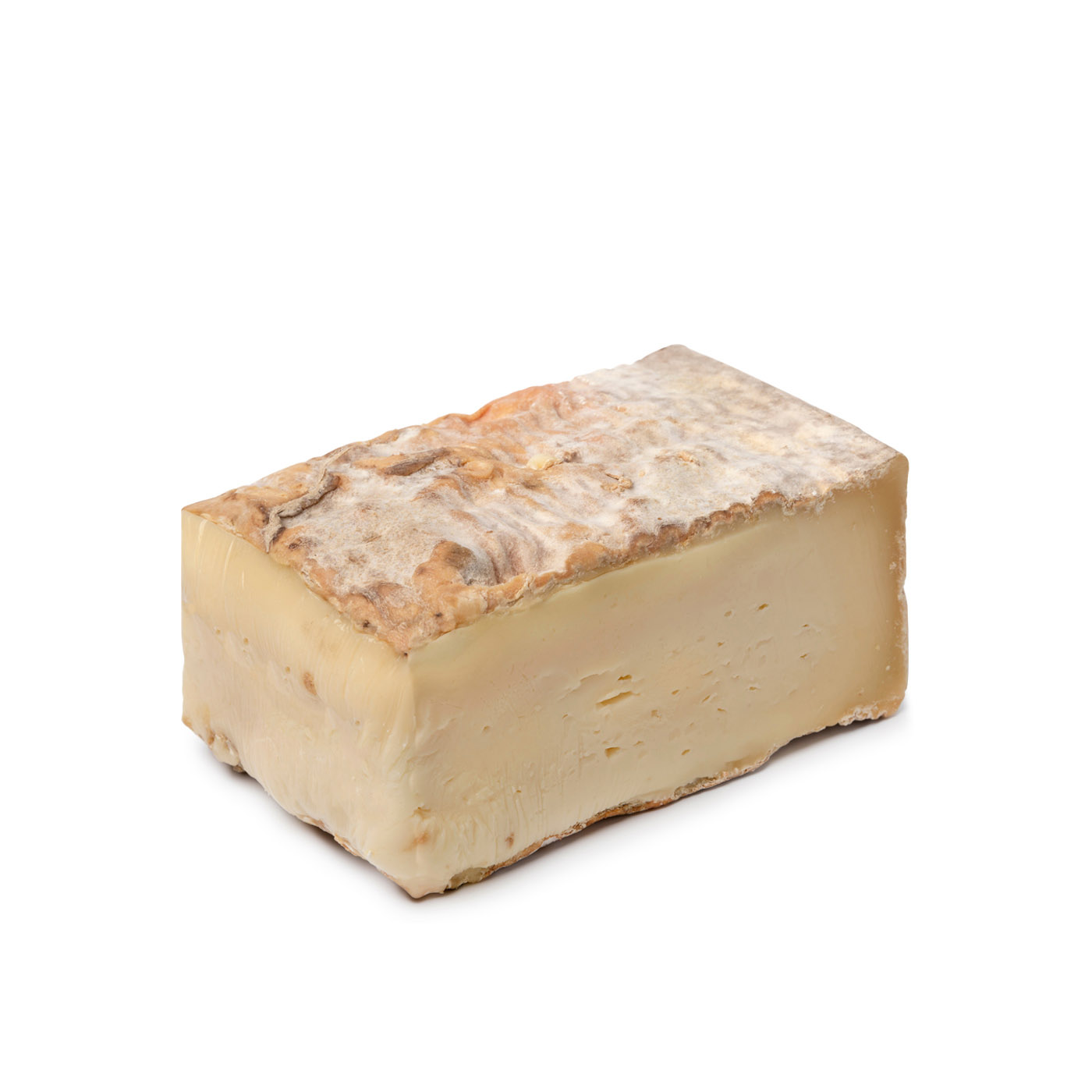 Taleggio