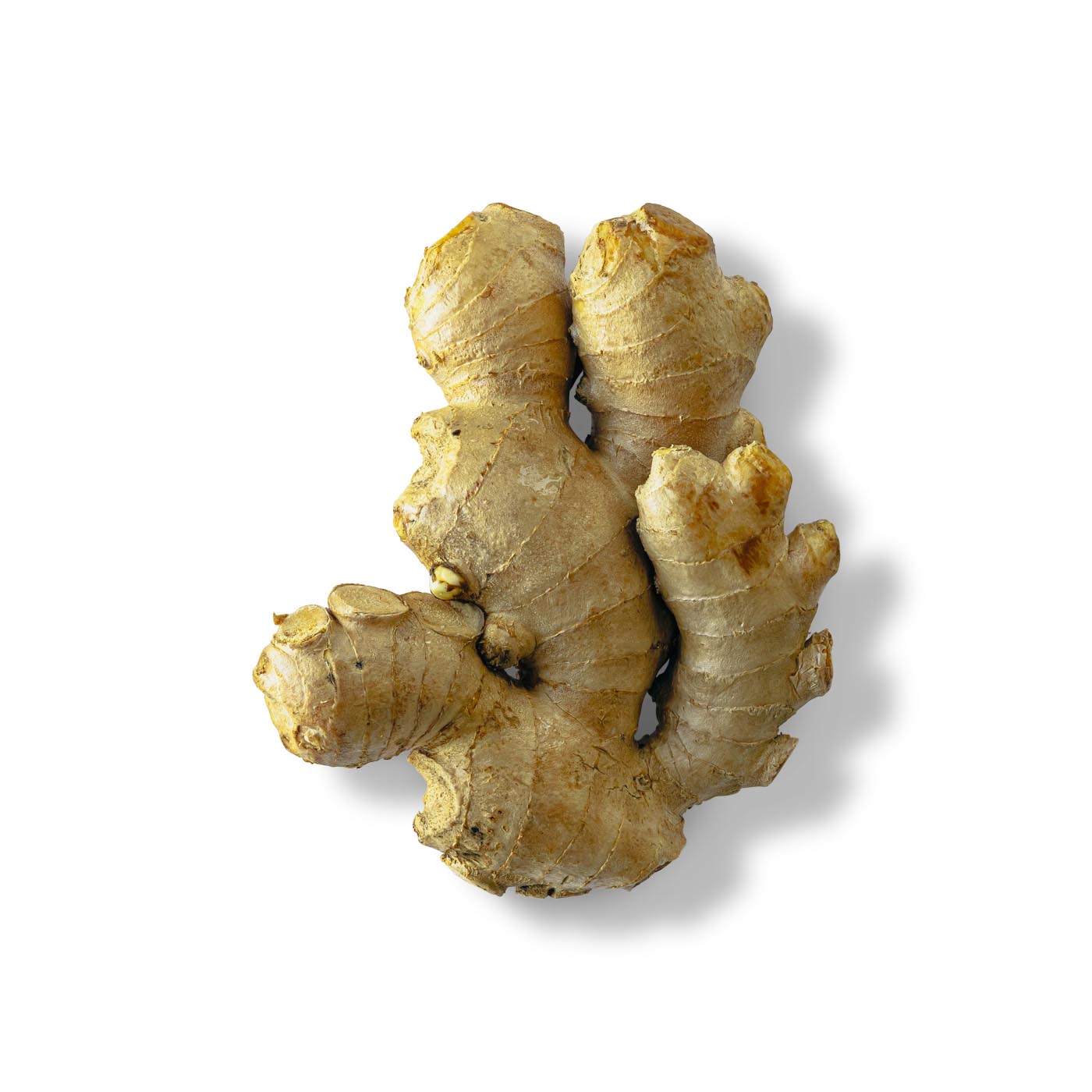 Japanese Ginger