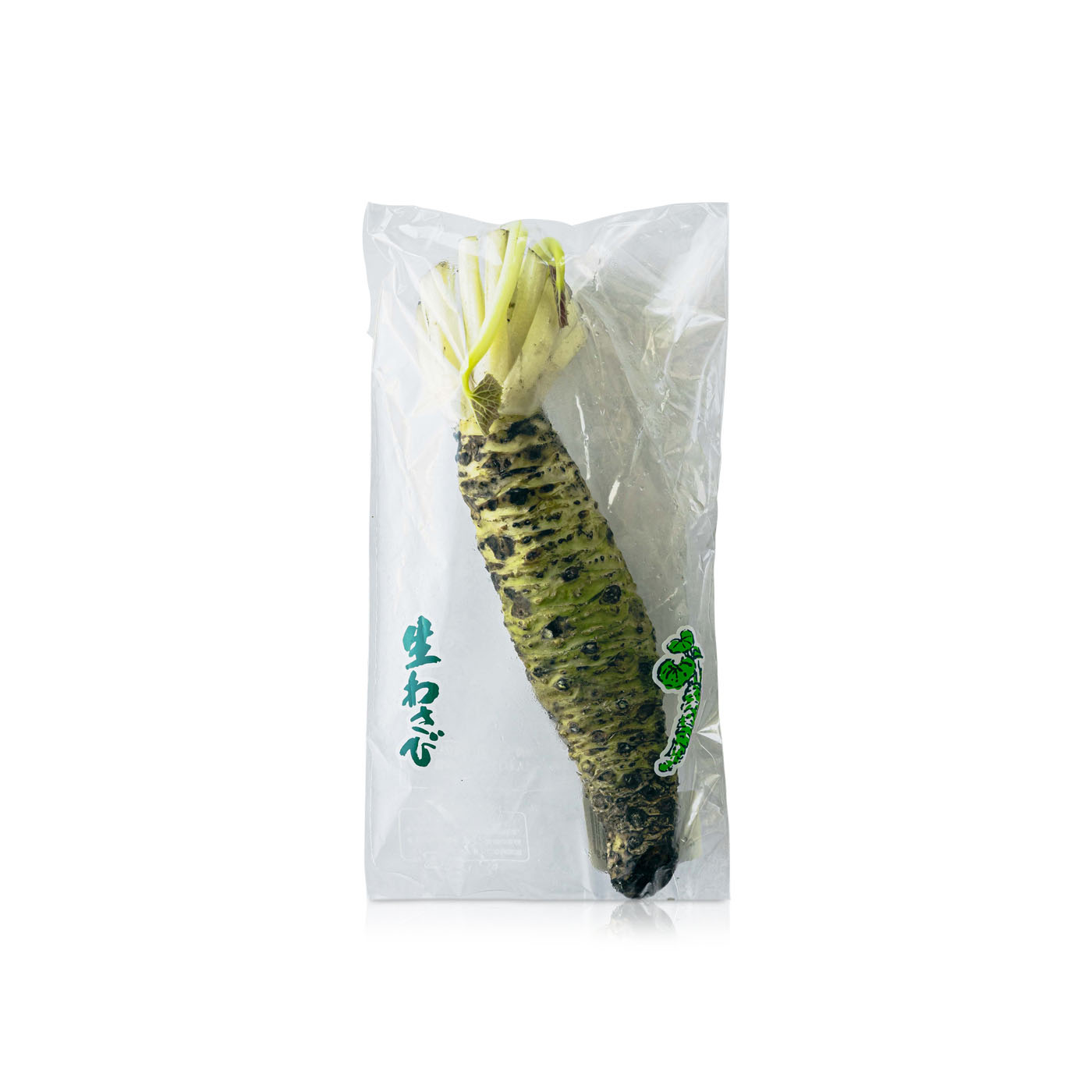 Japanese Wasabi