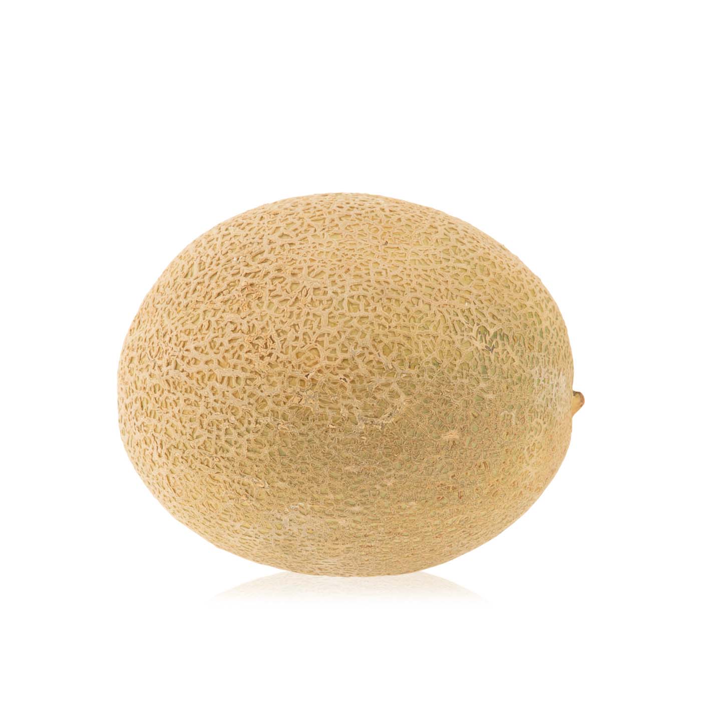 Cantaloupe Melon