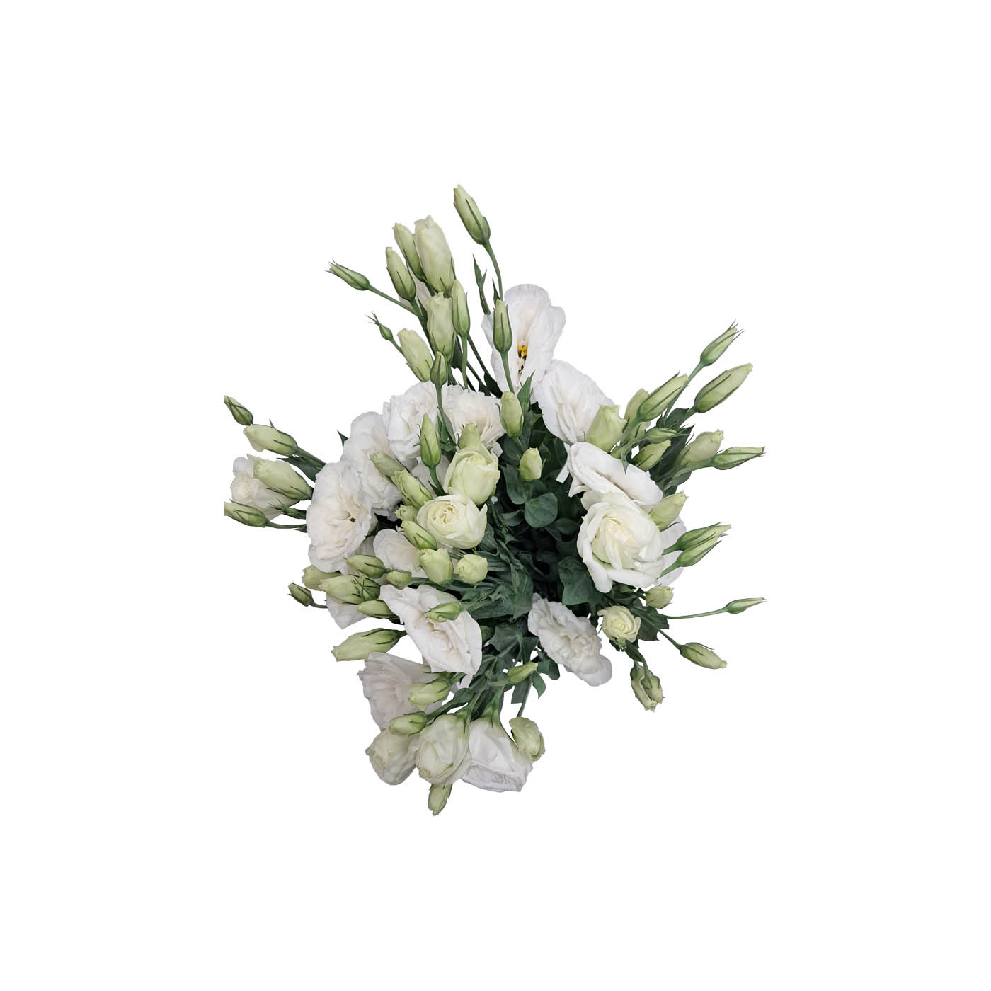 Lisianthus Bunch