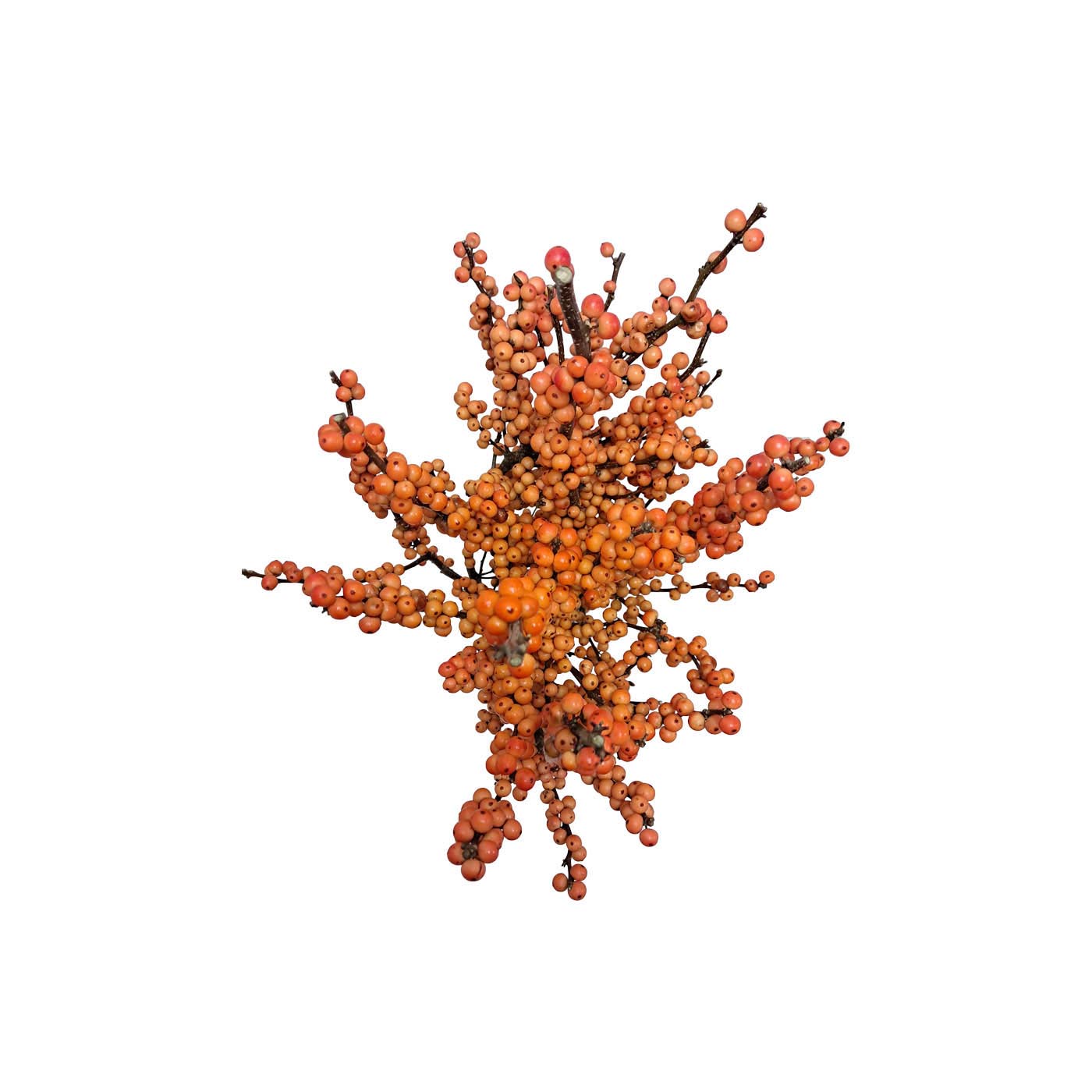 Orange Berries Bunch