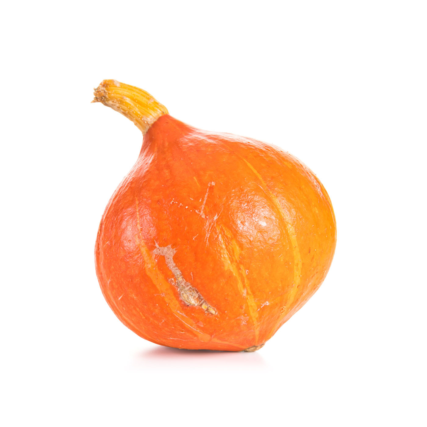 Organic Hoikado Pumpkin KG