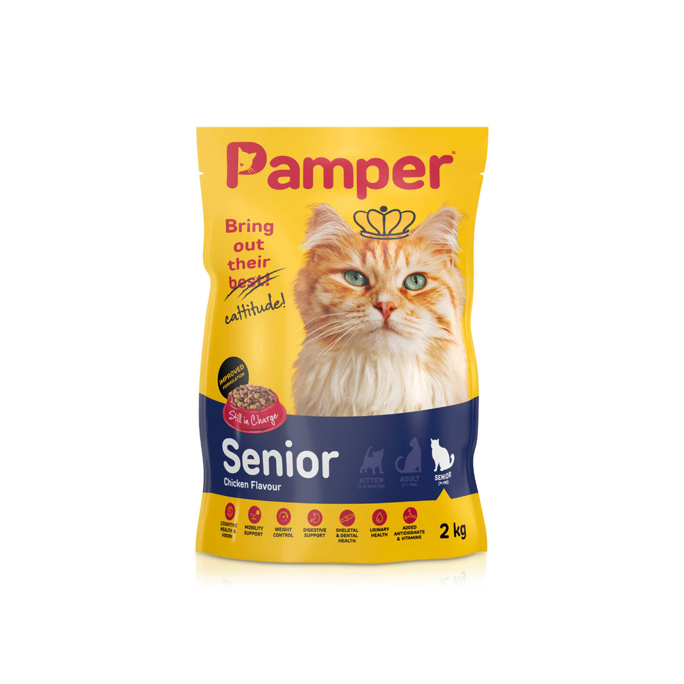 Pamper Senior Dry Cat Food Chicken 2kg