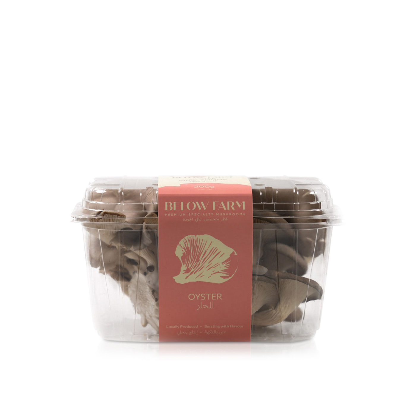 Below Farm Silver Oyster Mushrooms UAE 200g