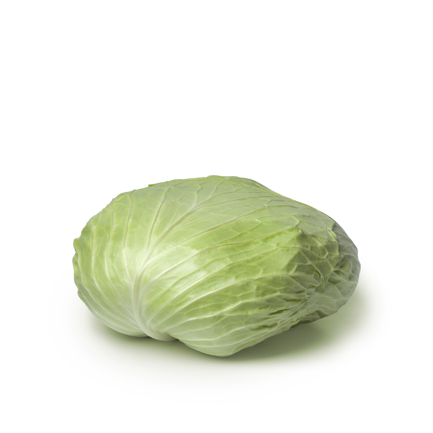 Flat Cabbage Jordan KG