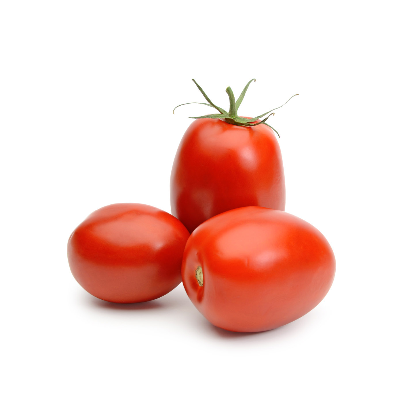 San Marzano Plum Tomatoes Holland