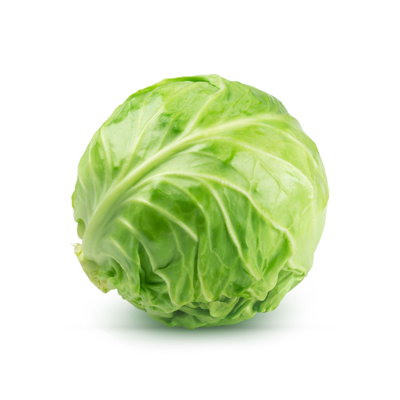 Cabbage Saudi Arabia
