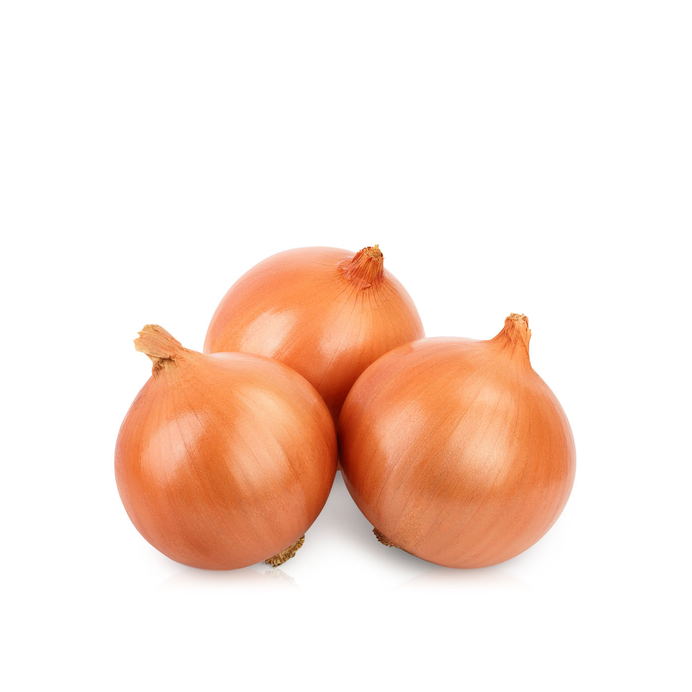 Brown Onion South Africa KG