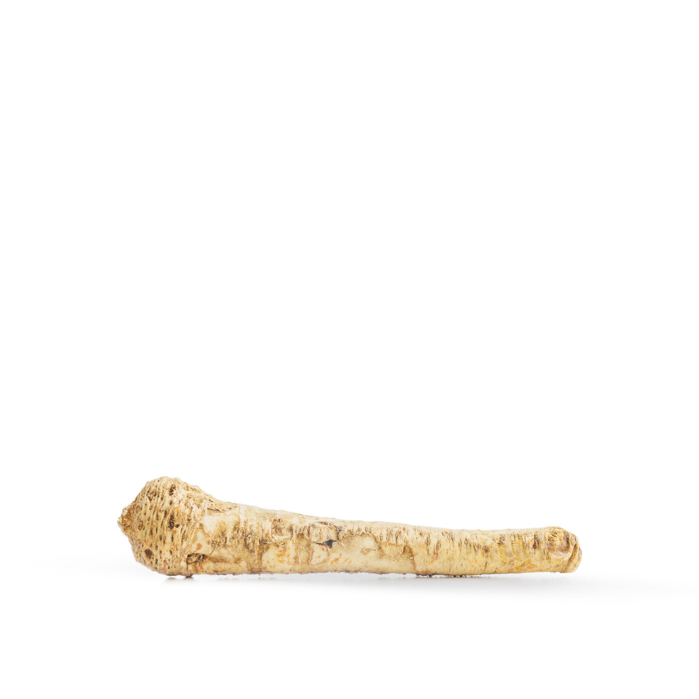 Horseradish Hungary