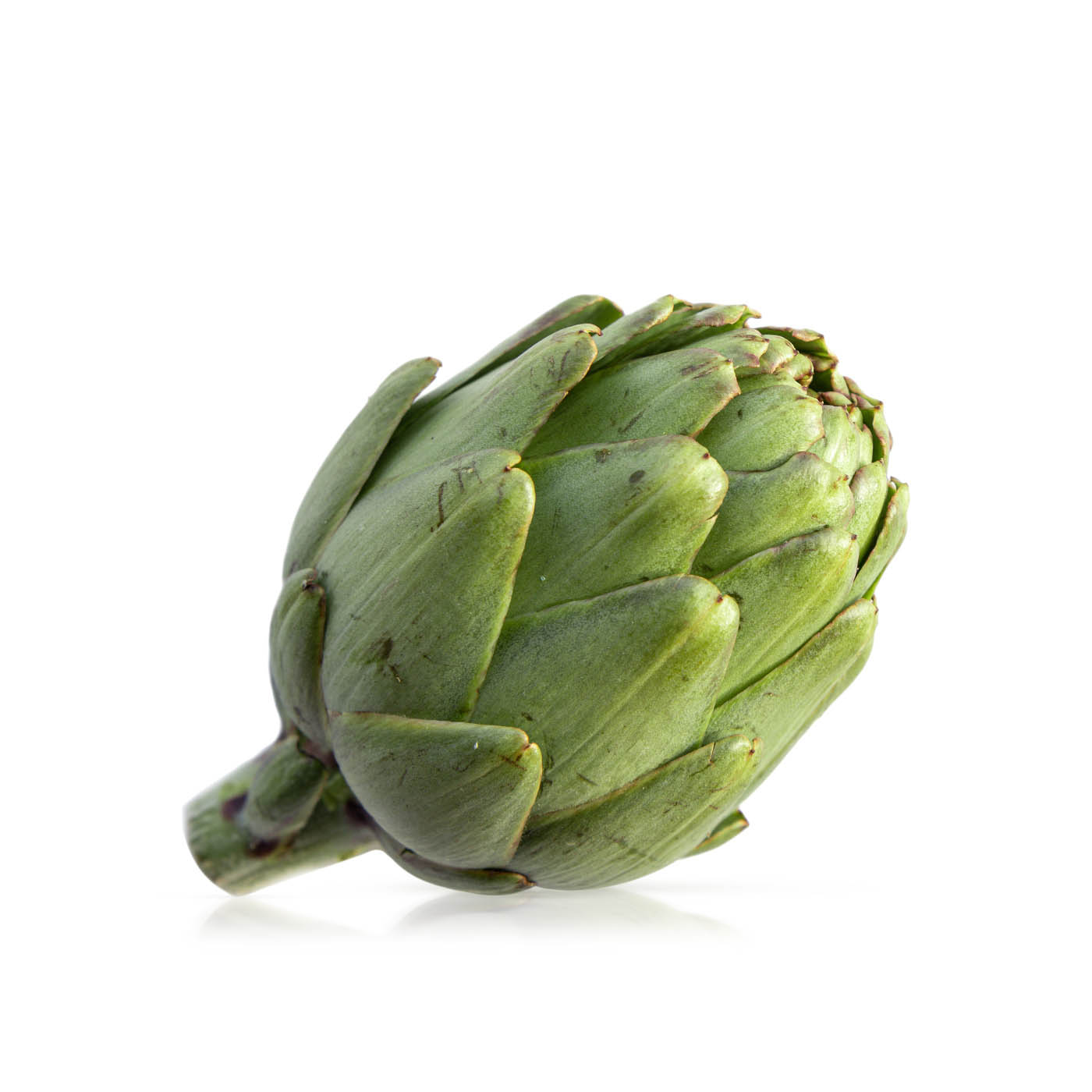 French Organic Artichocke Green