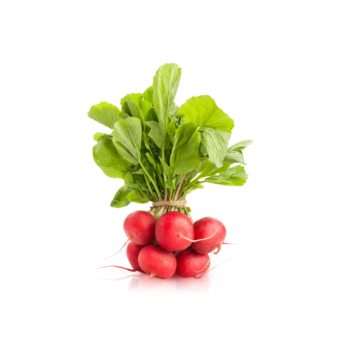 Lakeside Organic Red Radish