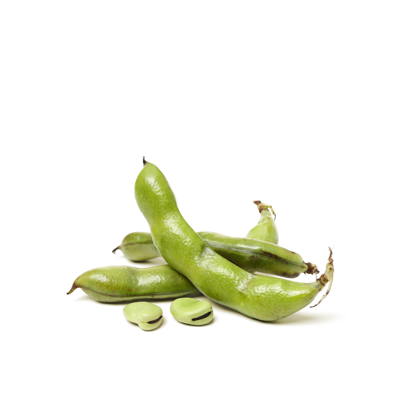 Broad Beans Lebanon KG